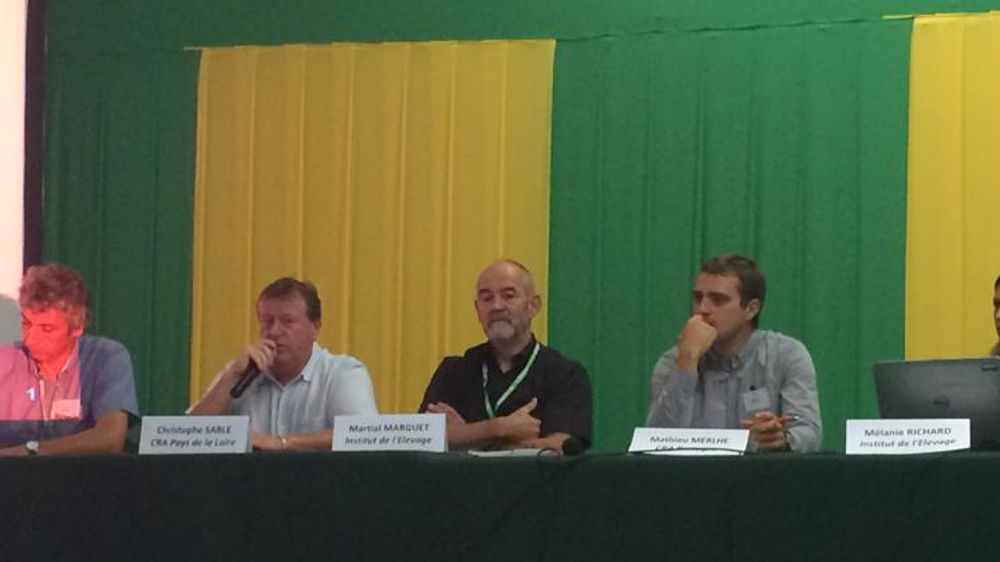 Un revenu courant avant impôt négatif pour 41 % des éleveurs de plaine