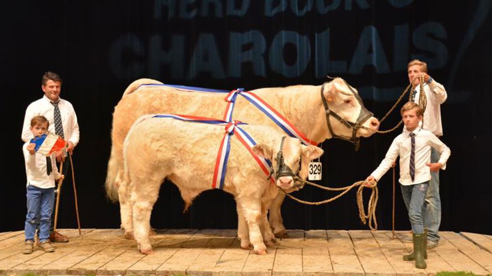La qualité musculaire au rendez-vous