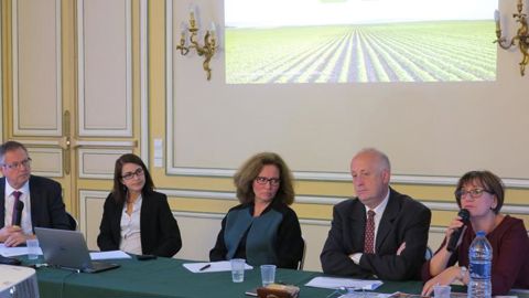 Des perspectives négatives pour 2017 Des perspectives négatives pour 2017
