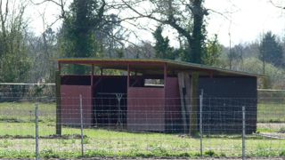Deux produits pour désinfecter les parcours de volailles Deux produits pour désinfecter les parcours de volailles