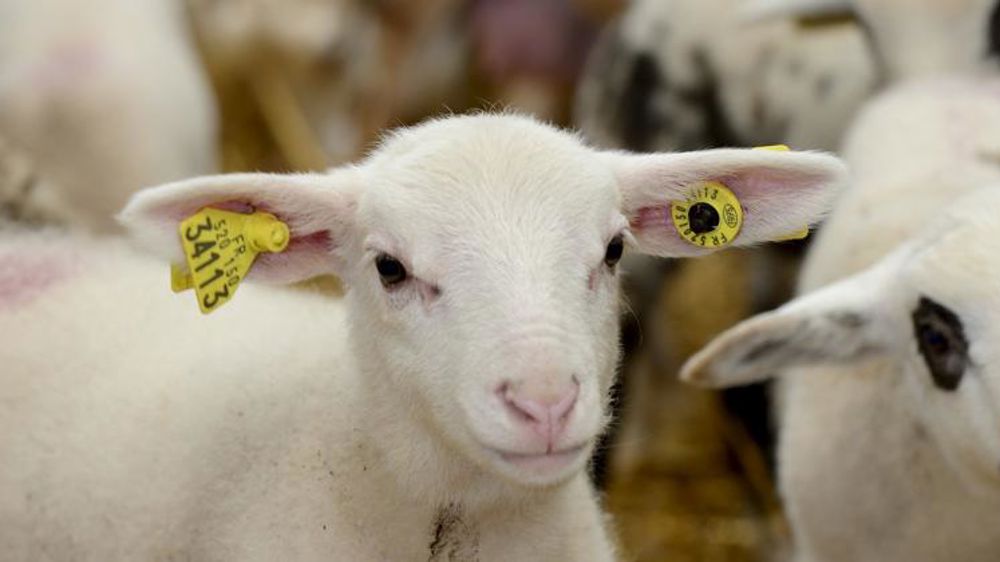 Adapter l’offre aux demandes de la distribution et de la RHD