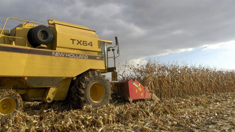 Baisse des rendements pour le maïs, la pomme de terre et la betterave