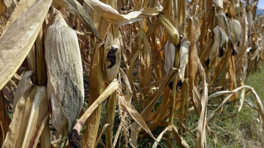 La production française encore revue à la baisse