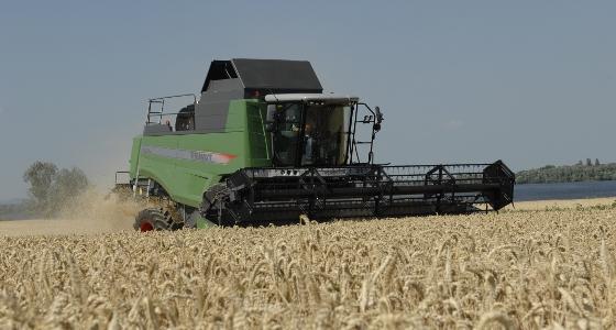Les conditions climatiques sont particulièrement favorables à de bons rendements aux Etats-Unis
