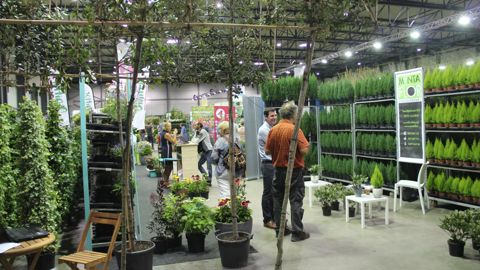 En dehors des producteurs, quelques exportateurs, ainsi que des sous-traitants du secteur (fournisseurs de terreau, techniques d’automatisation, accessoires, systèmes de climatisation,…) sont présents au salon. ©Florall