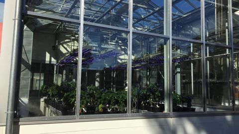 Le salon professionnel du Résem, organisé tous les deux ans à Montpellier (34) intéresse les professionnels travaillant sous serres. 