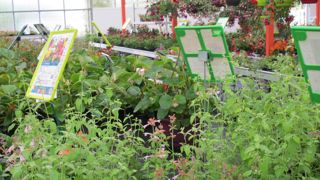 Les adhérents du réseau HPF tiennent leur prochaine assemblée générale autour du thème de l’expérience client et de l’évolution du commerce actuelle. ©HPF