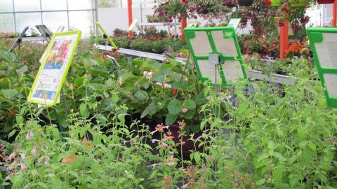 Les adhérents du réseau HPF tiennent leur prochaine assemblée générale autour du thème de l’expérience client et de l’évolution du commerce actuelle. ©HPF