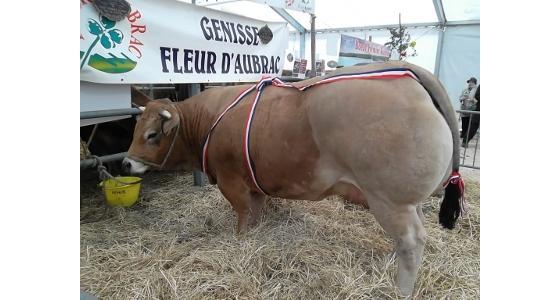 Grand Prix d'excellence Boeuf Fermier Aubrac