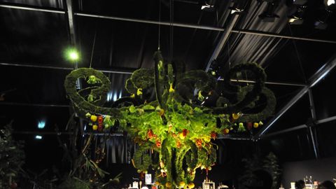 Dans le cabinet de curiosités, sous le grand lustre habillé de verdure, se cachent ratatouiller, potimaronnier et arbre à soupe ! ©I. Cordier