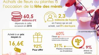 En 2018, des études de marché par Kantar TNS ont abouti à 20 infographies sur les achats des Français par « familles de végétaux horticoles », et 6 infographies sur des ventes durant les principales fêtes. Ici extrait pour la fête des mères. ©Val’hor 