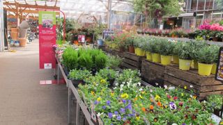 Le concept même de serre chaude ne parle pas au client, d’où un affichage pour répondre aux aspirations : « décorez votre intérieur », par exemple.©Pascal Fayolle