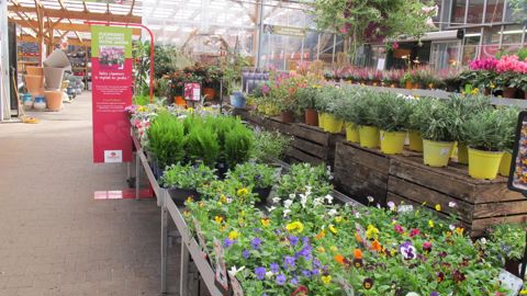 Le concept même de serre chaude ne parle pas au client, d’où un affichage pour répondre aux aspirations : « décorez votre intérieur », par exemple.©Pascal Fayolle