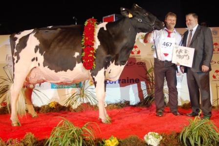 Ghp Brainville (Duplex x Rubens) à la Scl Novalait & Gaec  Duff Holstein (Haute-Marne)