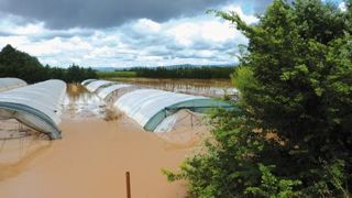Syndicat horticole du Var/Inondations : apportez votre soutien aux sinistrés Trois jours après les violentes inondations dans le Var, l'eau était toujours présente dans ces tunnels situés dans la zone de Fréjus. Photo : Lelienhorticole.fr