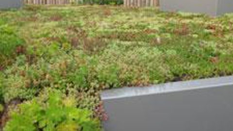 ©Pascal Fayolle  ©Pascal Fayolle