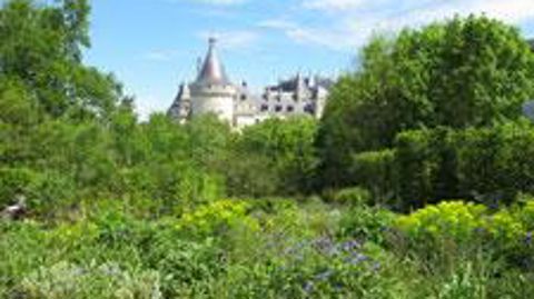 Le Festival international des jardins de Chaumont-sur-Loire ouvre ses portes mercredi 24 avril sur le thème des sensations, après une année 2012 (notre photo) placée sous le signe des délices et des délires. ©Pascal Fayolle 
