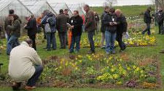 Malgré deux à trois semaines de retard dans le développement des fleurs, les essais de la « Ronde des Carrés fleuris » du Havre permettent de tirer des enseignements sur la tenue des plantes en conditions difficiles. ©Odile Maillard Malgré deux à trois semaines de retard dans le développement des fleurs, les essais de la « Ronde des Carrés fleuris » du Havre permettent de tirer des enseignements sur la tenue des plantes en conditions difficiles. ©Odile Maillard