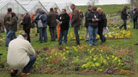 Malgré deux à trois semaines de retard dans le développement des fleurs, les essais de la « Ronde des Carrés fleuris » du Havre permettent de tirer des enseignements sur la tenue des plantes en conditions difficiles. ©Odile Maillard 