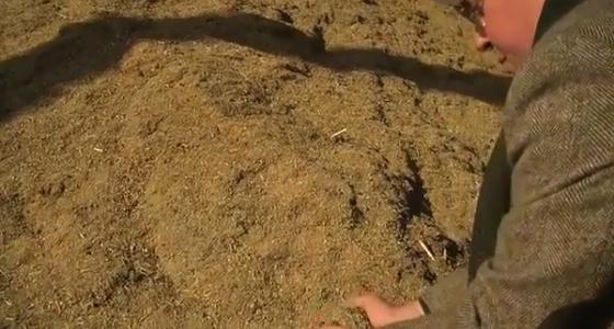 L’Ademe a débloqué en 2009 une aide de 1,6 million d’euros pour cofinancer avec le groupe Soufflet ce projet de construction d’une chaudière à poussières de céréales, sur un investissement de plus de 4 millions d’euros.