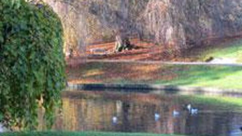 « Travailler avec la nature et utiliser l'infrastructure verte en milieu urbain, par exemple en y intégrant des parcs à la biodiversité riche, des espaces verts et des couloirs d'air frais, peut permettre d'atténuer l'effet ‘îlot de chaleur urbain' », souligne le rapport de la Commission européenne. ©Valérie Vidril 