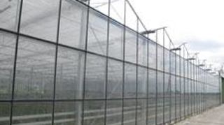 Dans un contexte mondial d'extension continue des surfaces cultivées sous serre, le projet Inra et Sunpartner vise la mise au point d'une serre photovoltaïque optimisant la culture des végétaux. ©Valérie Vidril 