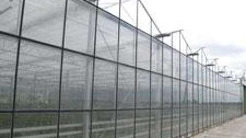 Dans un contexte mondial d'extension continue des surfaces cultivées sous serre, le projet Inra et Sunpartner vise la mise au point d'une serre photovoltaïque optimisant la culture des végétaux. ©Valérie Vidril 