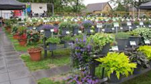 Démonstrations variétales et compositions mixtes aux Ets GG Grünewald lors des FlowerTrials 2012. ©Odile Maillard 