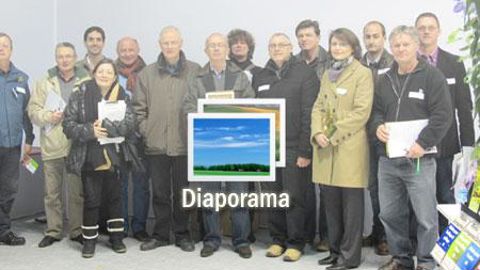 01. INNOVERT® d'Or « Horticulture » : Primula acaulis F1 ‘Zebra' Blue, Raes Bloemzaden, Destelbergen, (Belgique).