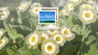 © J.P. Delagarde  © J.P. Delagarde