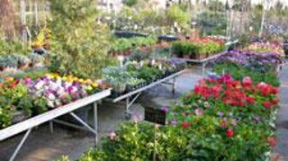 L'achat pour soi ne représente que 27,6 % des sommes dépensés en 2012. ©Pascal Fayolle  L'achat pour soi ne représente que 27,6 % des sommes dépensés en 2012. ©Pascal Fayolle  L'achat pour soi ne représente que 27,6 % des sommes dépensés en 2012. ©Pascal Fayolle  L'achat pour soi ne représente que 27,6 % des sommes dépensés en 2012. ©Pascal Fayolle