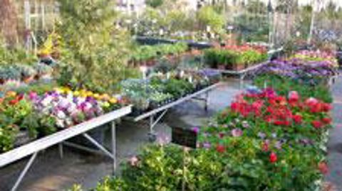  L'achat pour soi ne représente que 27,6 % des sommes dépensés en 2012. ©Pascal Fayolle  L'achat pour soi ne représente que 27,6 % des sommes dépensés en 2012. ©Pascal Fayolle