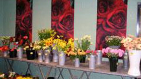 « Floor » ambitionne de susciter l'intérêt des jeunes pour les plantes et fleurs, et souhaite les motiver à s'entourer de plantes chez eux, dans leur intérieur. © Vlam « Floor » ambitionne de susciter l'intérêt des jeunes pour les plantes et fleurs, et souhaite les motiver à s'entourer de plantes chez eux, dans leur intérieur. © Vlam