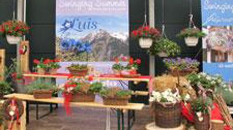 À l'instar des firmes Selecta et Schoneveld, l'amont de la filière ornementale se préoccupe de marques commerciales, de démarches et d'initiatives marketing, de suggestions d'ambiances et d'atmosphères... pour aider les producteurs, jardineries et autres points détaillants à vendre le végétal d'ornement. ©Odile Maillard À l'instar des firmes Selecta et Schoneveld, l'amont de la filière ornementale se préoccupe de marques commerciales, de démarches et d'initiatives marketing, de suggestions d'amb