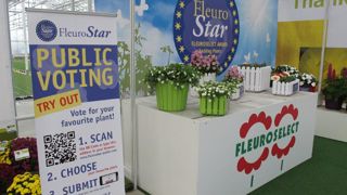 © Odile Maillard Fleurselect invite un jury et les visiteurs professionnels des Flowertrials à voter pour la meilleure plante à massifs estivale pour 2013/2014. 