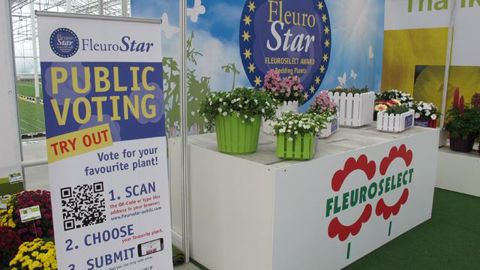 © Odile Maillard Fleurselect invite un jury et les visiteurs professionnels des Flowertrials à voter pour la meilleure plante à massifs estivale pour 2013/2014. 