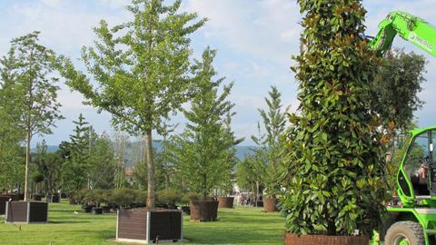 © V. Vidril Le parc met en avant des plantes de pépinière « placées harmonieusement, naturellement, et non pas contraintes dans la stricte géométrie d'une pépinière ». © V. Vidril
