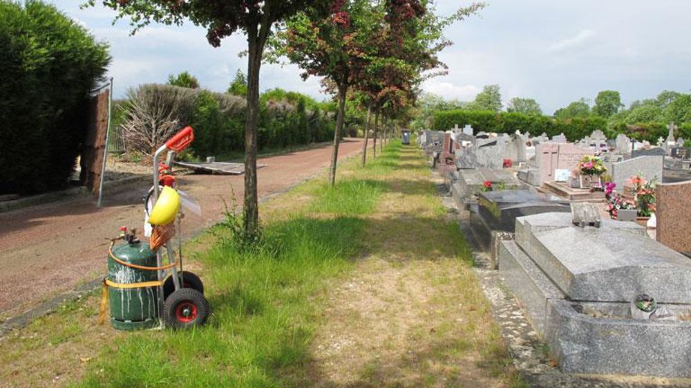 Le label Ecojardin a été créé en 2012 à l'initiative de neuf villes françaises avec d'autres maîtres d'ouvrage et partenaires techniques sous l'égide de Plante & Cité, dont Versailles qui a labellisé ses cimetières. ©Pascal Fayolle Le label Ecojardin a été créé en 2012 à l'initiative de neuf villes françaises avec d'autres maîtres d'ouvrage et partenaires techniques sous l'égide de Plante & Cité, dont Versailles qui a labellisé ses cimetières. ©Pascal Fayolle