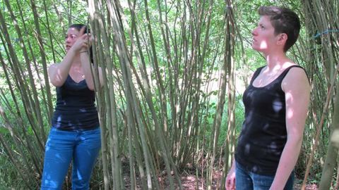 ©Odile Maillard Alice Poyet (à gauche) et Marie Guilloteau, en BTS Aménagements paysagers, font visiter, ponctuellement, leur 