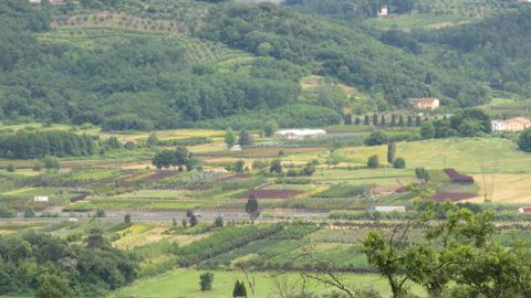 ©photos Valérie Vidril Ce sont les pépinières, grandes et petites, qui dessinent le paysage de Pistoia.