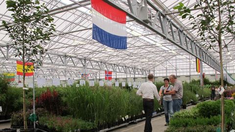 Pour la seconde année, Groen Direkt a conforté sa présence au coeur de l'International Trade Center (ITC), près de Boskoop. ©Odile Maillard Pour la seconde année, Groen Direkt a conforté sa présence au coeur de l'International Trade Center (ITC), près de Boskoop. ©Odile Maillard