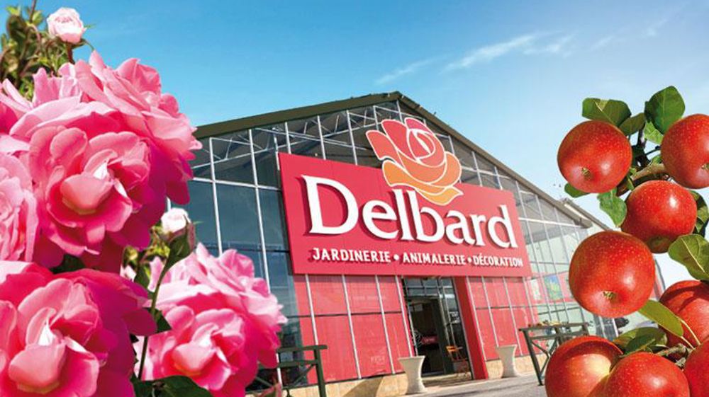 Les magasins du groupe Nalod's/Delbard ont vu leur chiffre d'affaires baisser de 6 % pendant que la centrale enregistrait une croissance de 19 %. ©Pascal Fayolle. Les magasins du groupe Nalod's/Delbard ont vu leur chiffre d'affaires baisser de 6 % pendant que la centrale enregistrait une croissance de 19 %. ©Pascal Fayolle.