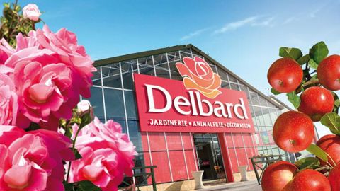Les magasins du groupe Nalod's/Delbard ont vu leur chiffre d'affaires baisser de 6 % pendant que la centrale enregistrait une croissance de 19 %. ©Pascal Fayolle. Les magasins du groupe Nalod's/Delbard ont vu leur chiffre d'affaires baisser de 6 % pendant que la centrale enregistrait une croissance de 19 %. ©Pascal Fayolle.
