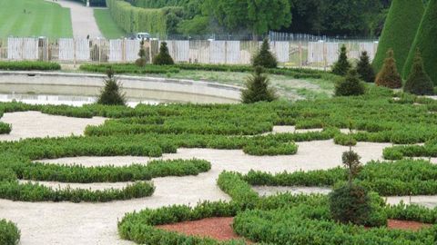 Le colloque d'Hortis présentera les broderies de buis qui ont été redessinées cette année dans le parc de Sceaux, dans le cadre du 400e anniversaire de la naissance d'André Le Nôtre. ©Pascal Fayolle. Le colloque d'Hortis présentera les broderies de buis qui ont été redessinées cette année dans le parc de Sceaux, dans le cadre du 400e anniversaire de la naissance d'André Le Nôtre. ©Pascal Fayolle.
