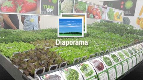 01. Les acheteurs de toute l'Europe trouvent au Plantarium une offre de végétaux de pépinière qui multiplie les angles d'accroche des consommateurs : décoration du jardin, prêt à poser pour la décoration du balcon et de la terrasse, jardin gourmand… (www.plantarium.nl).