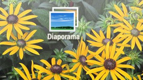 01. Médaille d'or, meilleure nouveauté du Plantarium 2011 pour Buddleia Valbud 3 Lilac Chip, un buddleia compact pour petits jardins et pots (Valkplant BV / Hebe Center Holland).