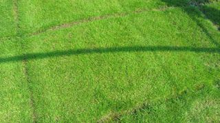 Green Expo, qui aura lieu du 26 au 28 novembre 2013, permettra de faire le point sur l'évolution du monde des gazons. Ici, des essais de variétés à la station des Alleuds, près d'Angers.(c)Pascal Fayolle Green Expo, qui aura lieu du 26 au 28 novembre 2013, permettra de faire le point sur l'évolution du monde des gazons. Ici, des essais de variétés à la station des Alleuds, près d'Angers.(c)Pascal Fayolle Green Expo, qui aura lieu du 26 au 28 novembre 2013, permettra de faire le point sur l'évolution du monde des gazons. Ici, des essais de variétés à la station des Alleuds, près d'Angers.(c)Pascal Fayolle Green Expo, qui aura lieu du 26 au 28 novembre 2013, permettra de faire le point sur l'évolution du monde des gazons. Ici, des essais de variétés à la station des Alleuds, près d'Angers.(c)Pascal Fayolle