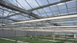 Les jeunes plants horticoles d'Eyraud Productions profitent d'une luminosité maximale sous des verres neufs et translucides. Il n'y aura aucune incidence sur la disponibilité des diverses variétés.(c)Eyraud Productions Les jeunes plants horticoles d'Eyraud Productions profitent d'une luminosité maximale sous des verres neufs et translucides. Il n'y aura aucune incidence sur la disponibilité des diverses variétés.(c)Eyraud Productions Les jeunes plants horticoles d'Eyraud Productions profitent d'une luminosité maximale sous des verres neufs et translucides. Il n'y aura aucune incidence sur la disponibilité des diverses variétés.(c)Eyraud Productions Les jeunes plants horticoles d'Eyraud Productions profitent d'une luminosité maximale sous des verres neufs et translucides. Il n'y aura aucune incidence sur la disponibilité des diverses variétés.(c)Eyraud Productions