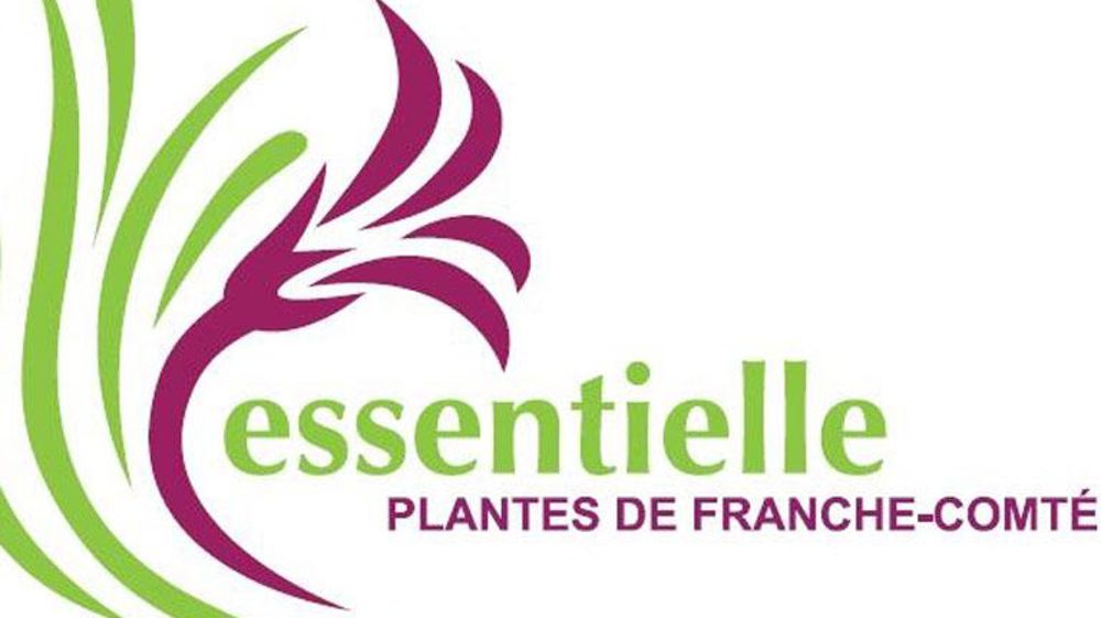 La marque Essentielle La marque Essentielle La marque Essentielle La marque Essentielle