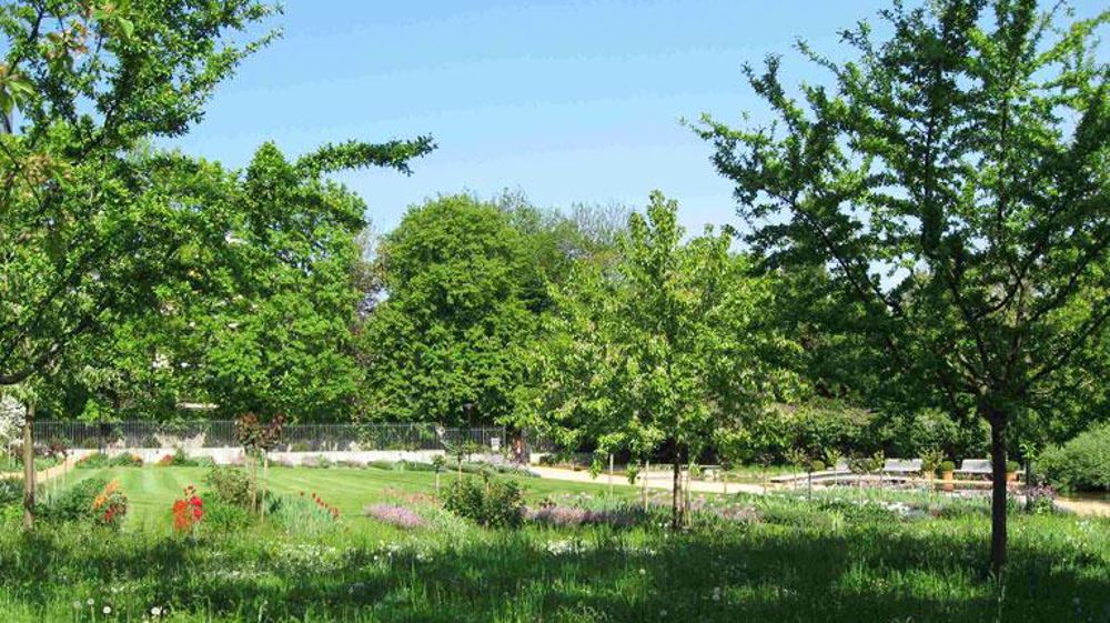 Une gestion plus écologique joue sur l'aspect visuel des espaces. ©Florysage Une gestion plus écologique joue sur l'aspect visuel des espaces. ©Florysage